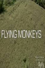 Watch Winged Terror FMoviesFree