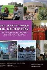 Watch The Secret World of Recovery FMoviesFree