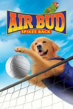 Watch Air Bud: Spikes Back FMoviesFree