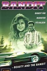 Watch Bandit: Beauty and the Bandit FMoviesFree