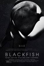 Watch Blackfish FMoviesFree