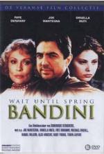 Watch Wait Until Spring, Bandini FMoviesFree