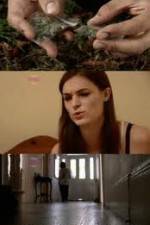 Watch How Drugs Work: Cannabis FMoviesFree