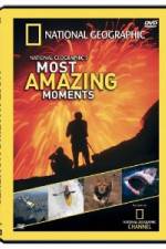 Watch National Geographic's Most Amazing Moments FMoviesFree