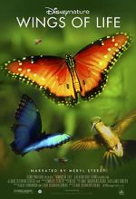 Watch Disneynature: Wings of Life FMoviesFree