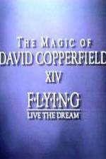Watch The Magic of David Copperfield XIV Flying - Live the Dream FMoviesFree