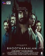 Watch Bhoothakaalam FMoviesFree