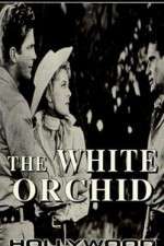 Watch The White Orchid FMoviesFree