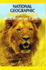 Watch National Geographic:  Walking with Lions FMoviesFree