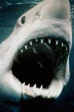 Watch Sharkmania: The Top 15 Biggest Baddest Bloodiest Bites FMoviesFree