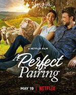 Watch A Perfect Pairing FMoviesFree
