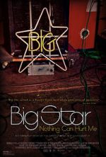 Watch Big Star: Nothing Can Hurt Me FMoviesFree