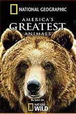 Watch America's Greatest Animals FMoviesFree
