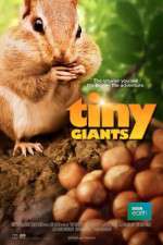 Watch Tiny Giants 3D FMoviesFree