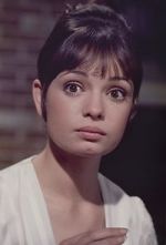 Watch Gidget Grows Up FMoviesFree