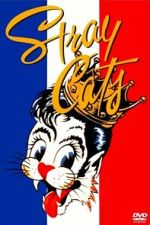 Watch Stray Cats Rock Paris FMoviesFree