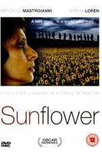 Watch Sunflower FMoviesFree