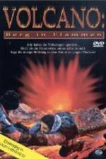Watch Volcano: Fire on the Mountain FMoviesFree