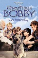 Watch Greyfriars Bobby The True Story of a Dog FMoviesFree