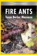 Watch National Geographic Fire Ants: Texas Border Massacre FMoviesFree
