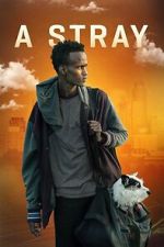 Watch A Stray FMoviesFree