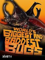 Watch World\'s Biggest and Baddest Bugs FMoviesFree