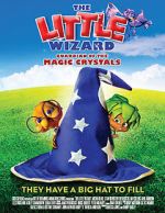 Watch The Little Wizard: Guardian of the Magic Crystals FMoviesFree
