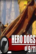 Watch Hero Dogs of 911 Documentary Special FMoviesFree
