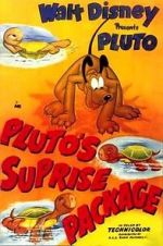 Watch Pluto\'s Surprise Package FMoviesFree