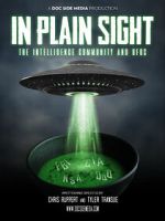Watch In Plain Sight: The Intelligence Community and UFOs FMoviesFree