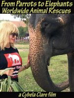 Watch From Parrots to Elephants: Worldwide Animal Rescues FMoviesFree
