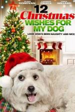 Watch 12 Christmas Wishes For My Dog FMoviesFree