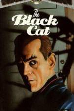 Watch The Black Cat FMoviesFree