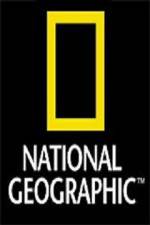 Watch National Geographic: Wild Nights - Miami FMoviesFree