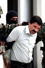 Watch The Rise and Fall of El Chapo FMoviesFree