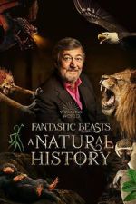 Watch Fantastic Beasts: A Natural History FMoviesFree