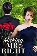 Watch Making Mr. Right FMoviesFree
