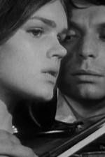 Watch Pavoncello FMoviesFree