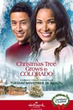 Watch A Christmas Tree Grows in Colorado FMoviesFree