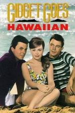 Watch Gidget Goes Hawaiian FMoviesFree