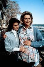 Watch Labor of Love The Arlette Schweitzer Story FMoviesFree