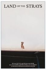 Watch Land of the Strays (Short 2018) FMoviesFree