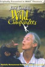 Watch Jane Goodall's Wild Chimpanzees FMoviesFree