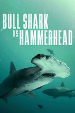 Watch Bull Shark vs Hammerhead FMoviesFree