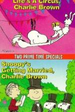 Watch Snoopy's Getting Married Charlie Brown FMoviesFree