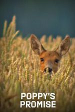 Watch Poppy\'s Promise: Secret Life in a Cornfield FMoviesFree