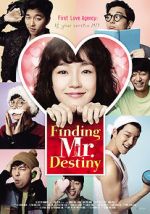 Watch Finding Mr. Destiny FMoviesFree