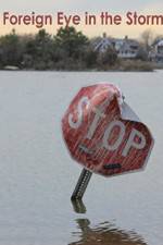 Watch Foreign Eye in the Storm FMoviesFree