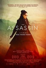 Watch The Assassin FMoviesFree