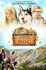 Watch Timber the Treasure Dog FMoviesFree